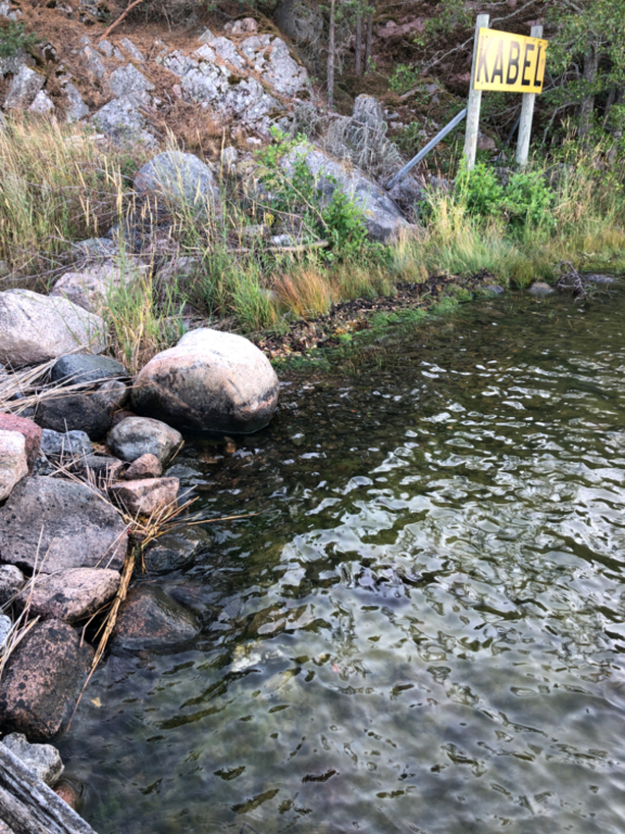 Iso- ja Pikku-Nauvon vesialue-Rotarien sinileväseuranta (Käldinge strand)-ObsALG-202108032011-610978f484c53.png