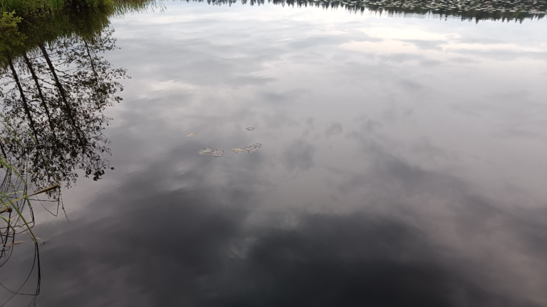 Kikurinjärvi (35.289.1.008)-Rotarien sinileväseuranta-ObsIMG-202406172059-667079fdbf724.png