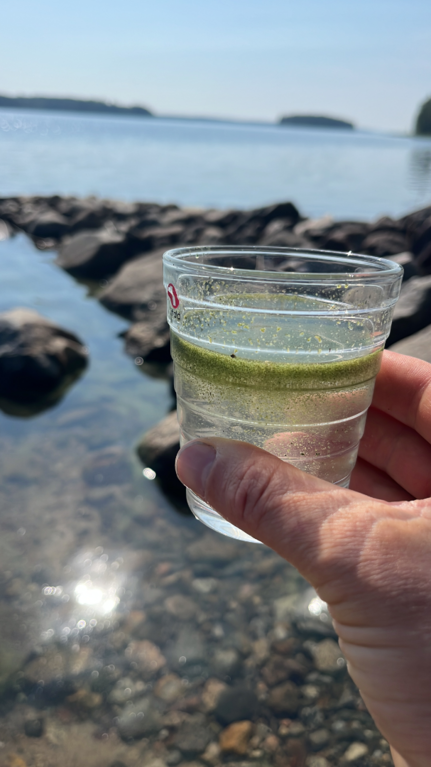 Puruvesi (Saimaa) (04.181.1.001)-Havaintopaikka 7-ObsIMG-202507131007-68737edadf8d9.png