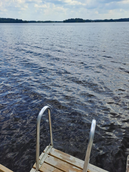 Tiedosto:Pyhäjärvi (35.211.1.001)-Valtakunnallinen sinileväseuranta (Maatialanlahti)-ObsIMG-202306211653-649300fa1cc41.png