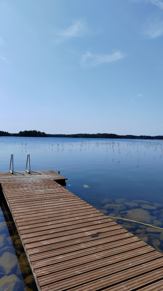 Saarijärvi (04.158.1.003)-Havaintopaikka 1-ObsIMG-202507121817-68727cf109a65.png