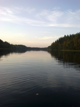 Valkialampi (07.002.1.003)-Havaintopaikka 1-ObsIMG-202009241833-60a39f49bce93.png