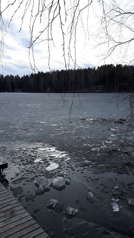 Valkjärvi (35.823.1.003)-Valkjärvi Oitti Puujaa-ObsICE-201804232059-18.jpg