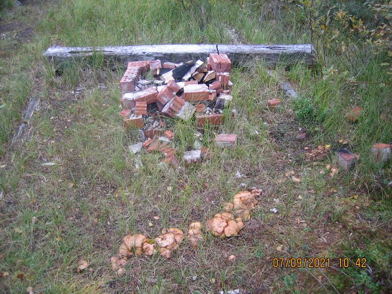 Vareslammen nuotiopaikka.JPG