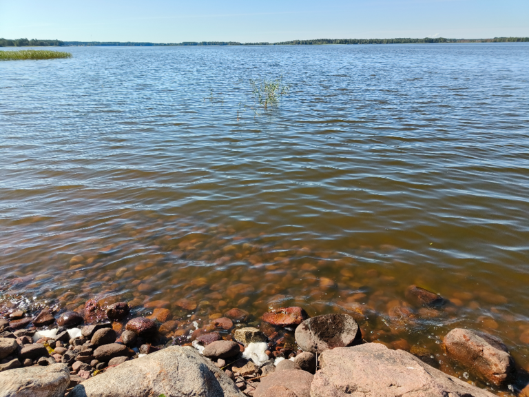 Köyliönjärvi (34.054.1.001)-Valtakunnallinen sinileväseuranta (Yttilän Otta)-ObsALG-202407101016-668e354de3512.png