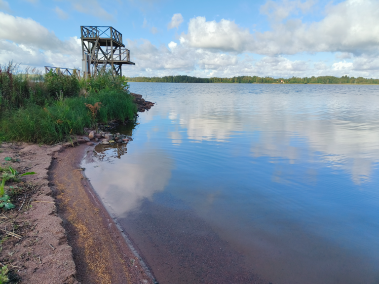 Köyliönjärvi (34.054.1.001)-Valtakunnallinen sinileväseuranta (Yttilän Otta)-ObsALG-202508121013-1754982961948.png