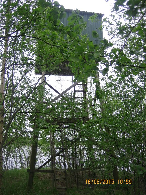 Likalanjarven lintutorni.JPG