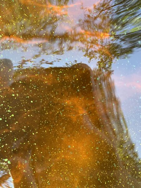 Tiedosto:Luonetjärvi (14.295.1.015)-Luonetjärven uimaranta-ObsIMG-202006251756-75.jpeg