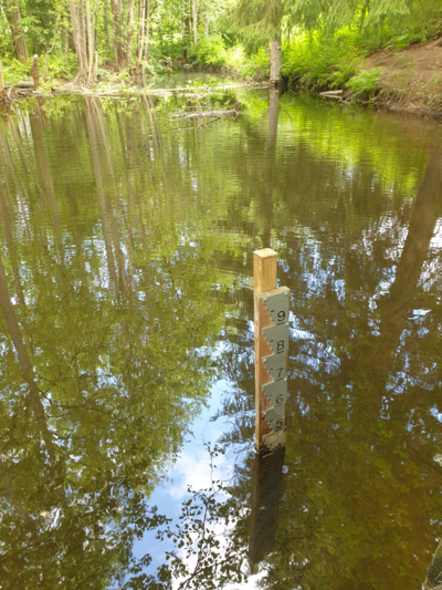 Urpolanjoen valuma-alue (04.152)-Urpolan aarimaan puistoväylän silta-ObsIMG-202506221230-1750584699446.png