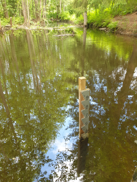 Tiedosto:Urpolanjoen valuma-alue (04.152)-Urpolan aarimaan puistoväylän silta-ObsIMG-202506221230-1750584699446.png