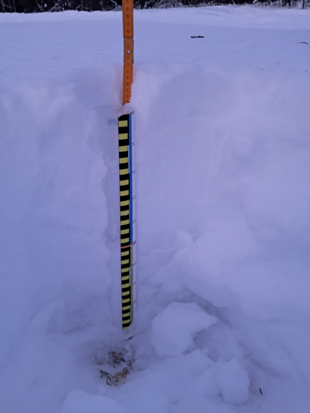 Tiedosto:Utkujärven lähialue (67.441)-Iiskontörmän niitty-ObsIMG-202512281317-1766921519585.png