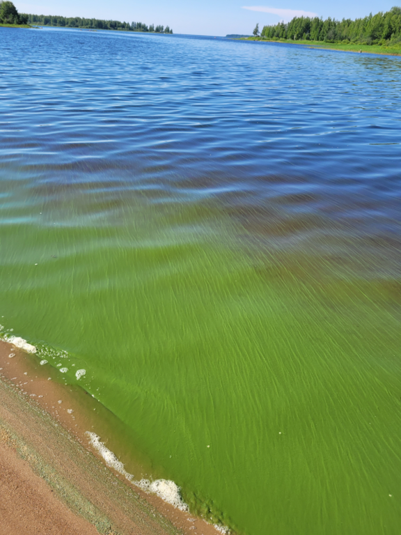 Ii - Olhava - Taipale-Pitkäniemi-ObsIMG-202206302017-62bf2cc73fdf3.png