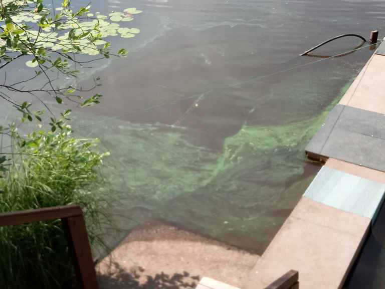 Jalanti (35.281.1.002)-Vuoltee-ObsIMG-202107131312-60ed6758bd29c.png