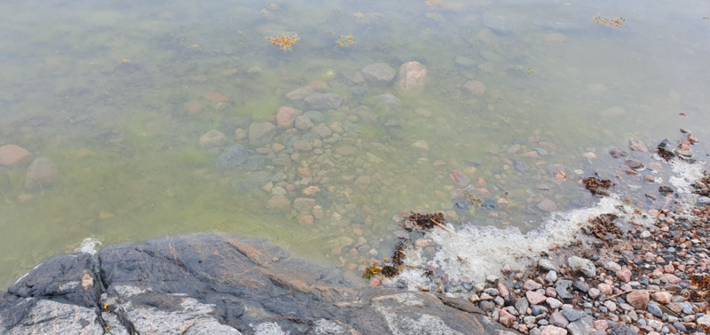 Tiedosto:Suvisaaristo-Lauttasaari-Pieni Lehtisaari -ObsALG-202306221140-6494b30ac1bb1.png