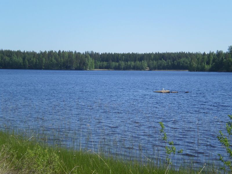 Tiedosto:Hirvijärvi.JPG
