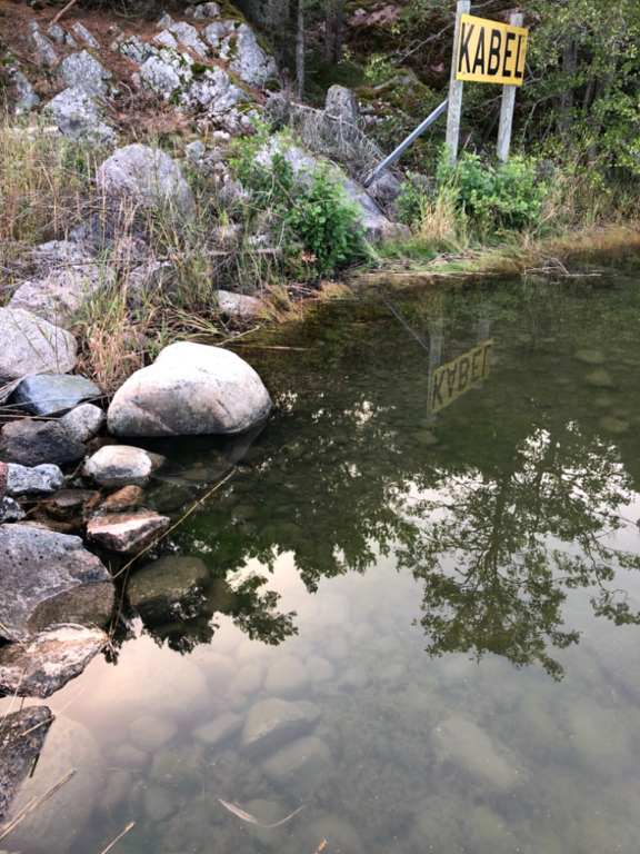 Iso- ja Pikku-Nauvon vesialue-Rotarien sinileväseuranta (Käldinge strand)-ObsALG-202108252006-612678db968b1.png