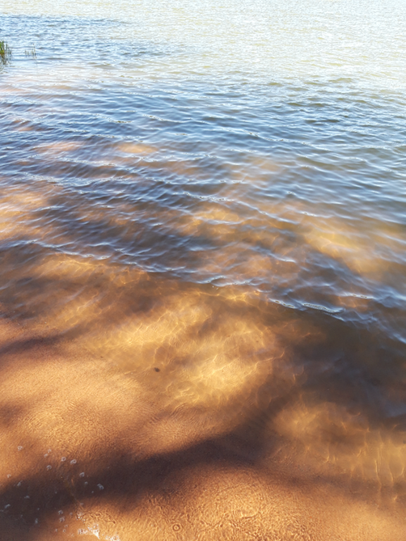 Pyhäjärvi (34.031.1.001)-Valtakunnallinen sinileväseuranta (Katismaan uimaranta)-ObsALG-202305301336-6475d0fee5022.png