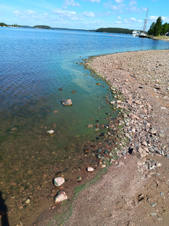 Saimaa (04.112.1.001)-Imatra, Lammassaarentie-ObsIMG-202507021103-6864e823d66ac.png