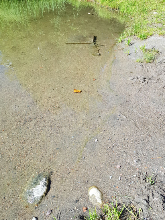 Ahmo (04.651.1.003)-Valtakunnallinen sinileväseuranta-ObsIMG-202208091300-62f2319fa3763.png