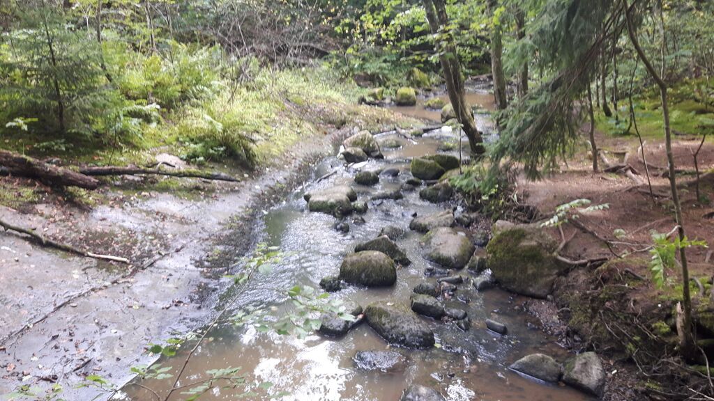 Byabäckenin valuma-alue (20.004)-Sipoonkorven Bybäckenin parkkipaikka-ObsIMG-201708231215-19.jpg