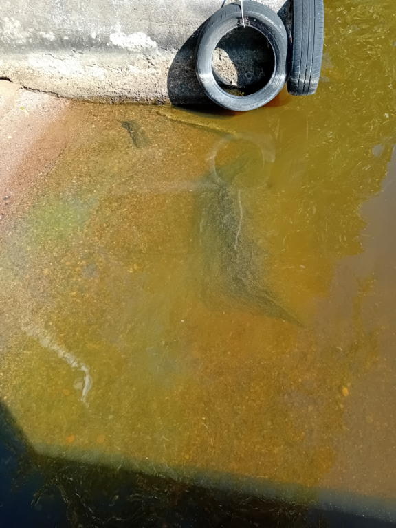 Hiidenvesi (23.031.1.001)-Hiidenpirtti-ObsIMG-202508141153-1755161826790.png