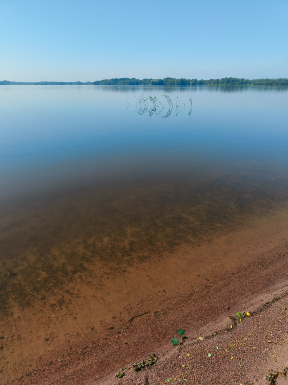 Köyliönjärvi (34.054.1.001)-Valtakunnallinen sinileväseuranta (Yttilän Otta)-ObsALG-202507151131-1752568372398.png