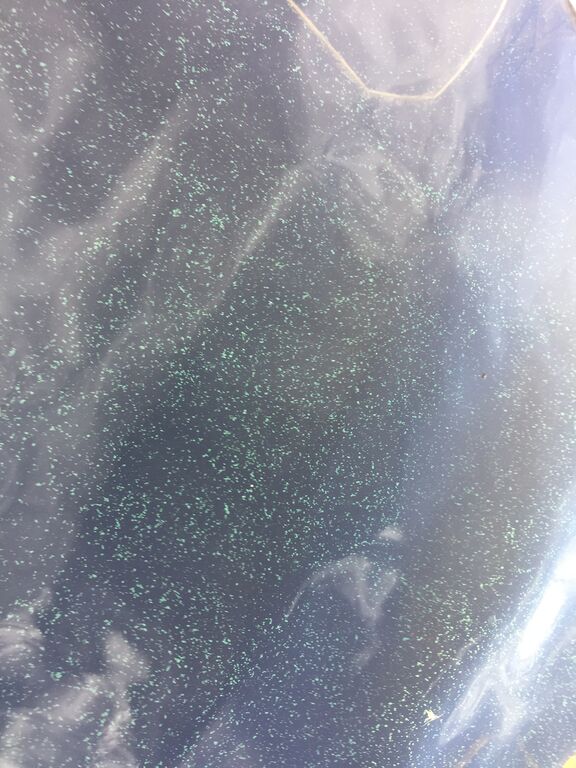 Kallavesi (yhd.)-Vaajasalo, eteläranta-ObsIMG-202007091145-46.jpeg