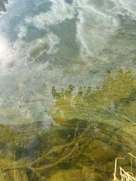 Vanajavesi (yhd.)-Sääksmäen silta-ObsALG-202508101600-6898dbf568b35.png