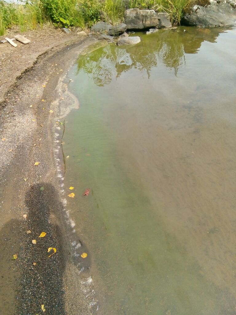 Höytiäinen (04.821.1.001)-Jängänniemi-ObsIMG-202007211323-88.jpg