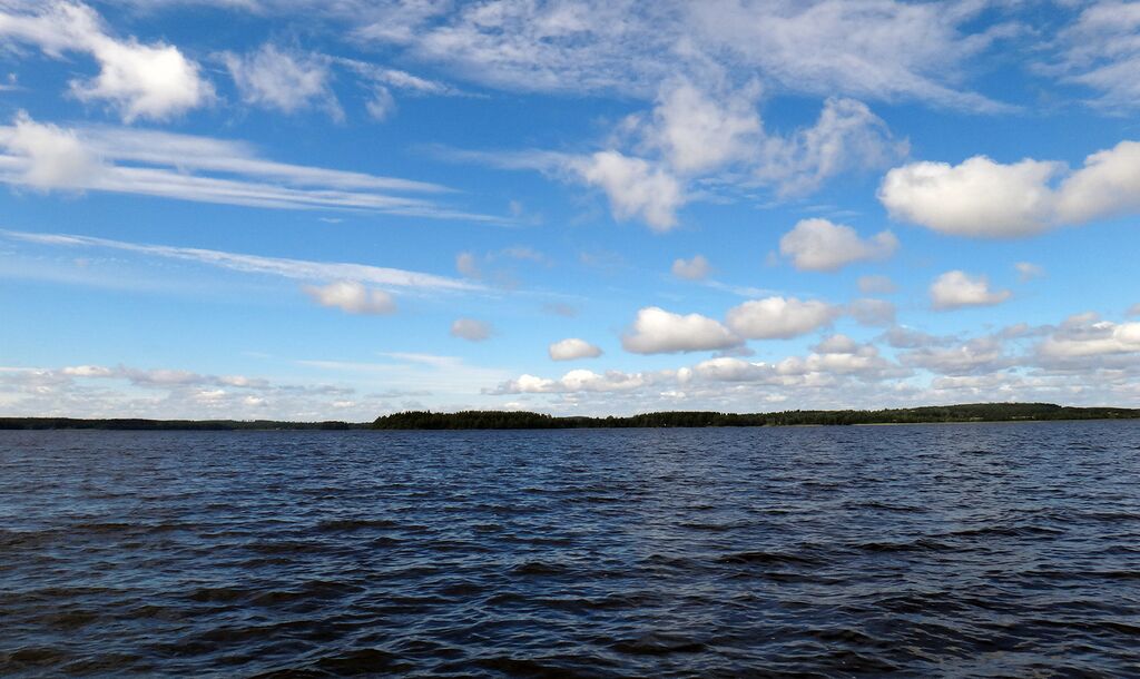 Hauhonselka kesa2013.jpg