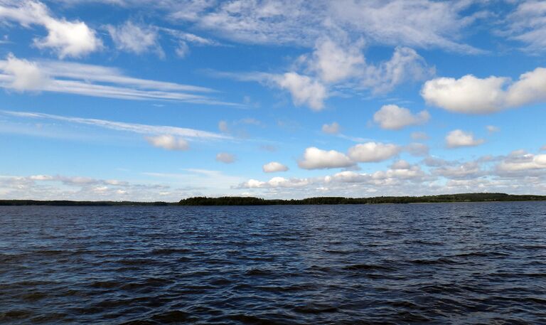 Hauhonselka kesa2013.jpg