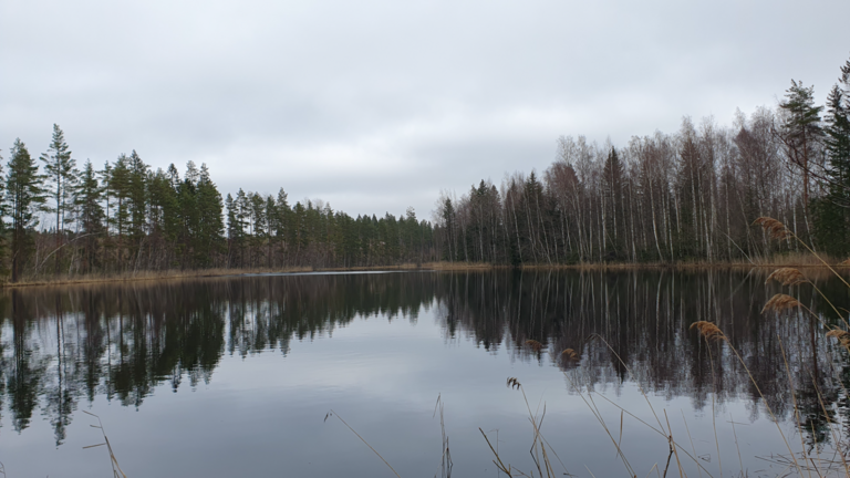 Iso-Pökki (14.211.1.011)-Iso-Pökki länsi -ObsIMG-202504181411-68023429413a8.png