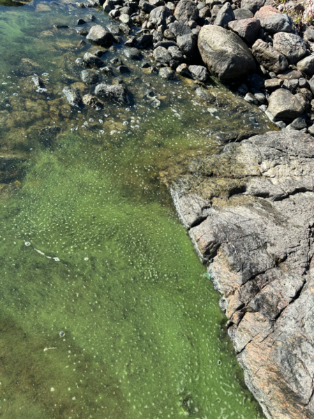 Tiedosto:Gullkronan selän ulkosaaristoalue-Havaintopaikka 2-ObsIMG-202409191314-66ebf9e14301e.png