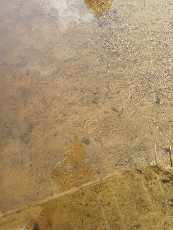 Iso Lano 20220712.jpg