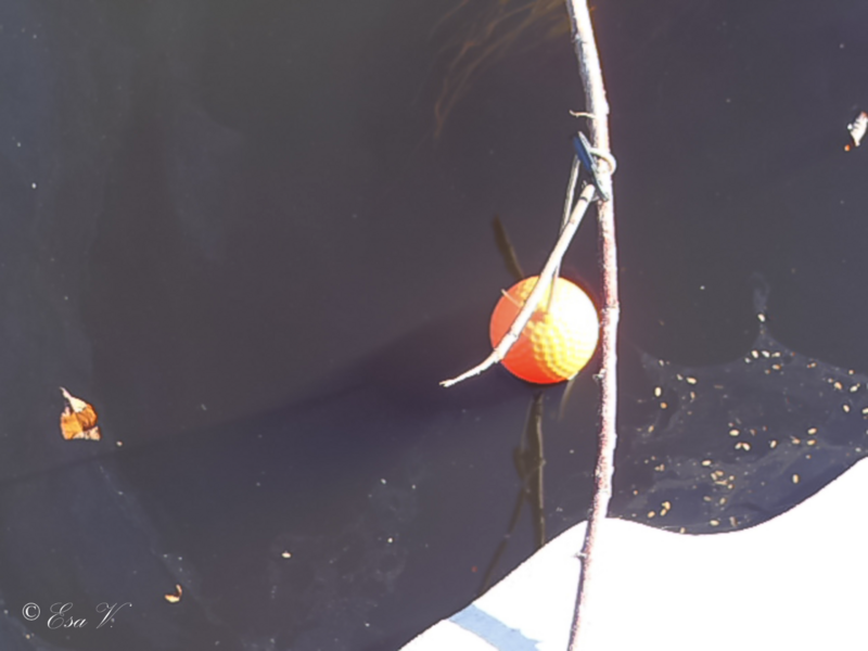 Tiedosto:Kuivasojan valuma-alue (84.112)-Havaintopaikka 9 Vanhan Laholaisojanrumpu-ObsTEMP-202604191630-1776635771878.png