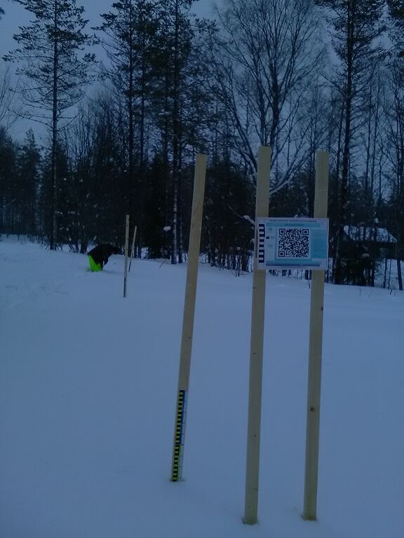 Möhkön alue (04.931)-Mustakorpi-ObsIMG-201902101716-83.jpg