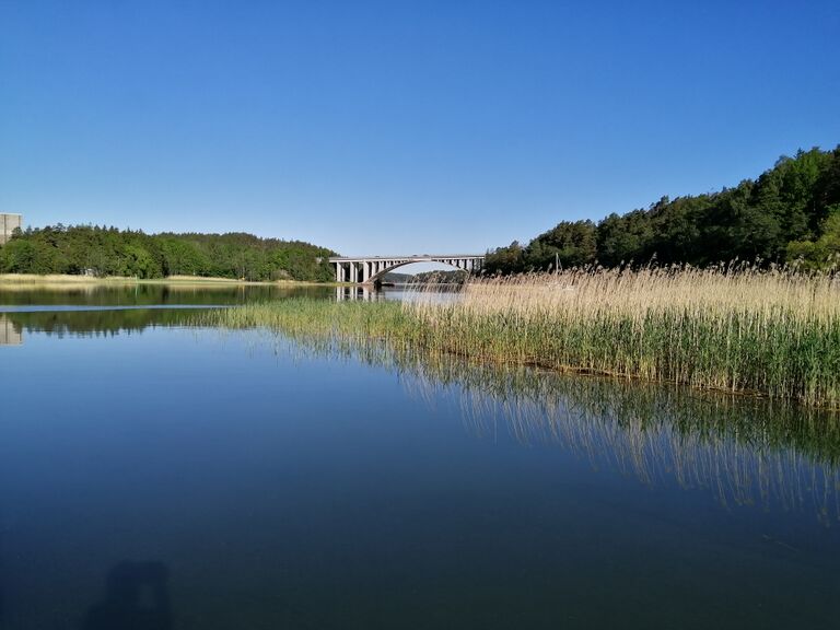 Paraisten sisäsaaristovedet-Rotarien sinileväseuranta (Kirjala, Hessund)-ObsIMG-202006100755-71.jpg