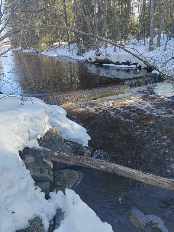 Pohjapato 18.3.2024.jpg