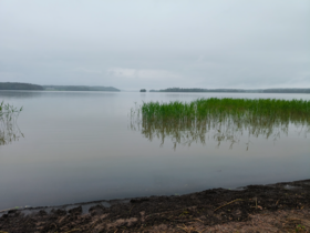 Pyhäjärvi (16.003.1.001)-Pyykkiniekan uimaranta-ObsIMG-202506240851-1750744450902.png