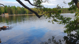 Vesijärvi (14.241.1.001)-Kalmarinranta-ObsIMG-202506201940-1750437785730.png