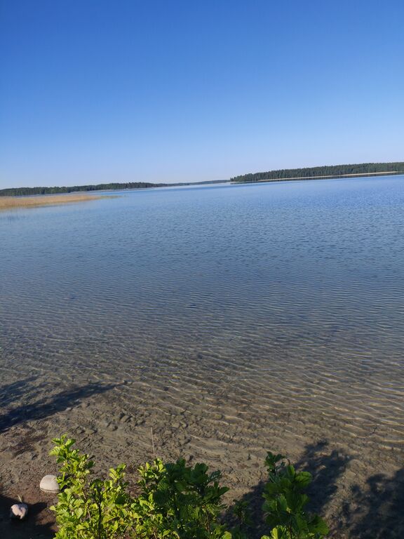 Vesijärvi (14.241.1.001)-Pirppulan uimaranta-ObsIMG-202006030759-26.jpg