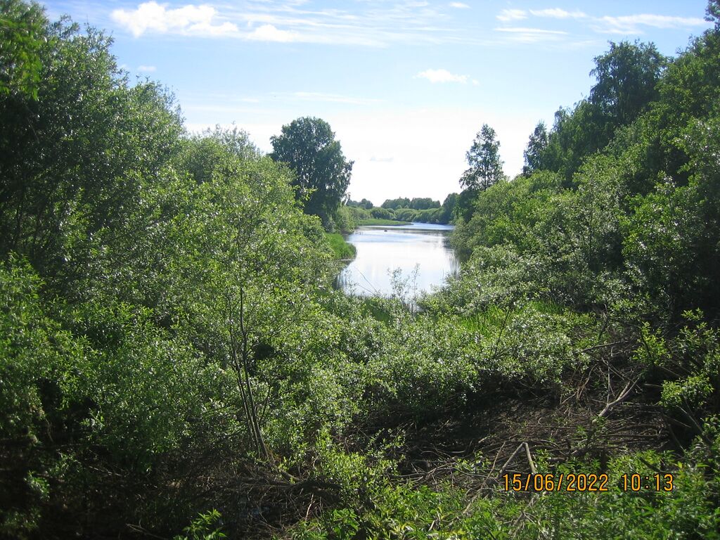 Nimettömän länsipää.JPG