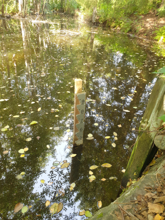 Urpolanjoen valuma-alue (04.152)-Urpolan aarimaan puistoväylän silta-ObsIMG-202509271243-1758966283418.png