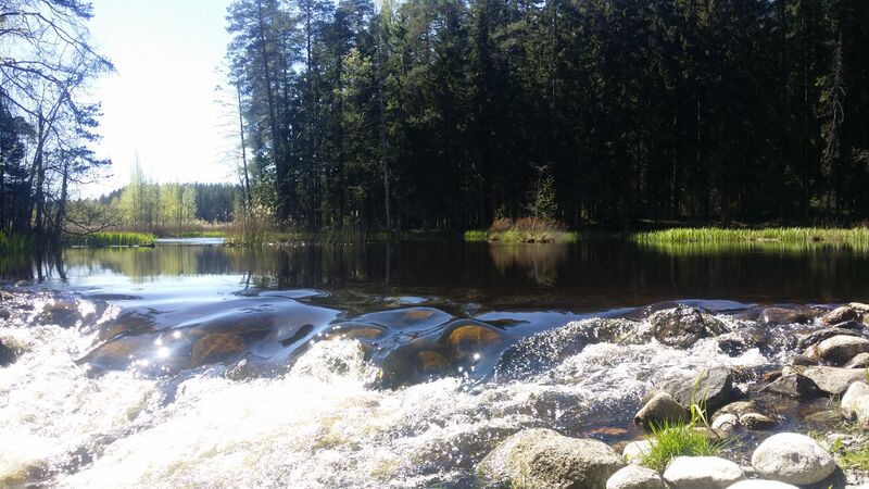 Tiedosto:Hanhilampi 5.jpg