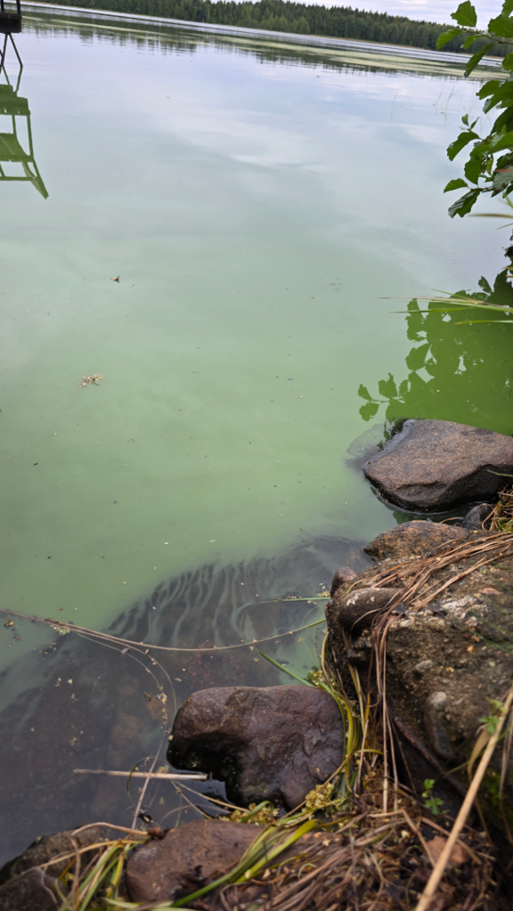 Heiniö (14.937.1.014)-145-ObsALG-202508301036-68b2aa8e18170.png