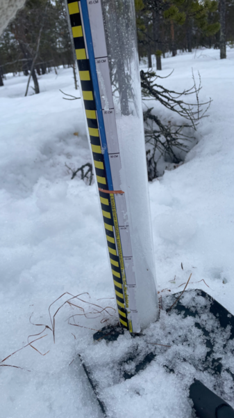 Jerisjoen alaosan alue (67.471)-Havaintopaikka 3-ObsSNOW-202604061650-69d3bae41d7eb.png