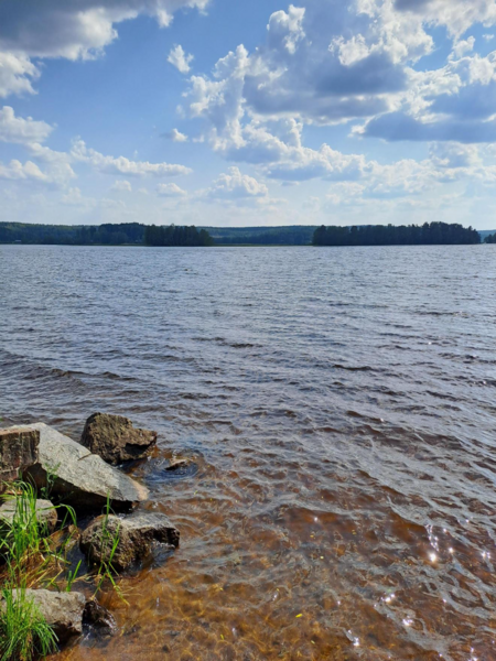 Tiedosto:Kulovesi (35.132.1.001)-Valtakunnallinen sinileväseuranta (Naarlahti)-ObsIMG-202306211649-64930027b8918.png