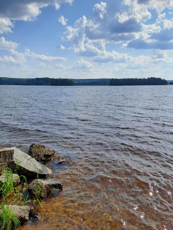 Kulovesi (35.132.1.001)-Valtakunnallinen sinileväseuranta (Naarlahti)-ObsIMG-202306211649-64930027b8918.png