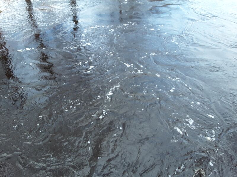 Tiedosto:Merikarvianjoen suualue (36.011)-Holmankoski-ObsIMG-201805071202-3.jpg