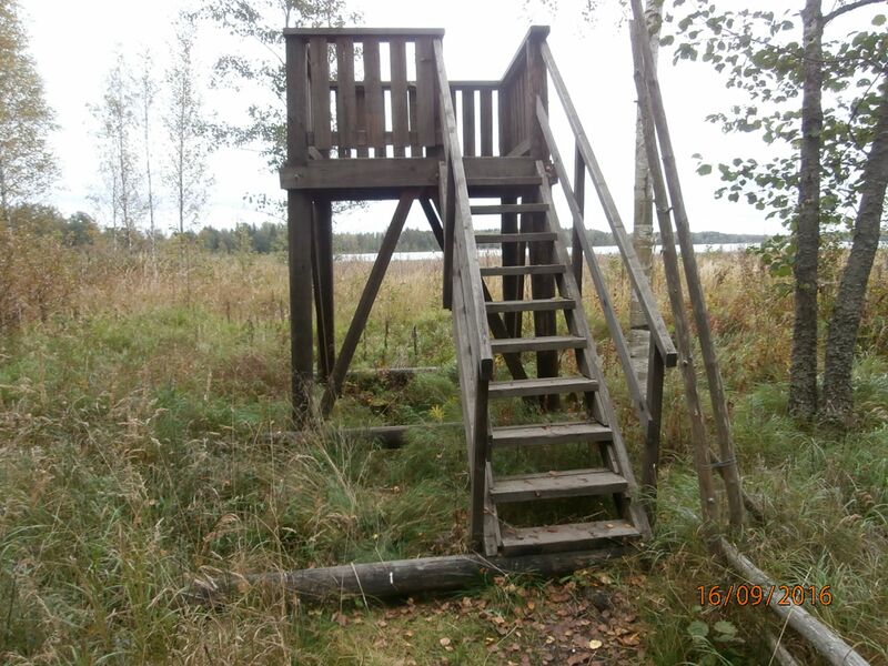 Tiedosto:Salinkaan lintutorni.JPG